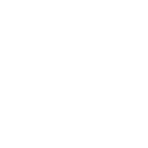 databricks icon